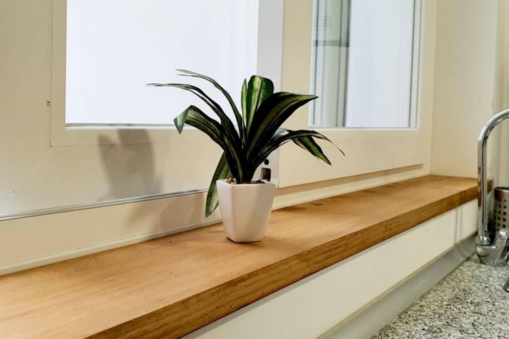 Apartamento Interior En Absoluto Centro En Algeciras 1º A Экстерьер фото